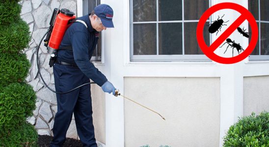 Kurşunlu Tahtakurusu İlaçlama böcek ilaçlama ve haşere kontrolü — ilaclama-tr.com